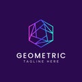 Geometric Polygonal Hexagon Line Logo with Gradient Color