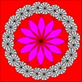 Geometric radial pattern with purple flower on red background abstract black circle color Royalty Free Stock Photo