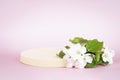 Geometric round podium platform stand for product presentation and spring blooming tree branch with white flowers on