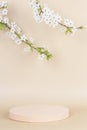 Geometric round podium platform stand for product presentation and spring blooming tree branch with white flowers on