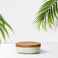 Geometric shapes in an abstract minimal scene. Wooden product display podium on white background with nature leaves for mock-up Royalty Free Stock Photo