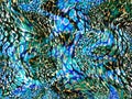 Abstract colorful leopard skin texture