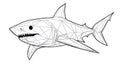 Geometric Shark Vector Art - Low Poly Style Predator with Sharp Teeth Royalty Free Stock Photo