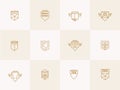 Geometric shield trendy hipster Icons