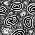 Geometric sketch ornament with patterns and circles. Zendoodle black and white fantastic background. Abstract intricate pattern.