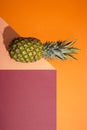 Geometric still life with pineapple on a colored background