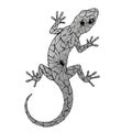 Geometric Style Gray Lizard Illustration Isolated on White Background Royalty Free Stock Photo