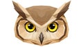 Geometric style illustration of an owl s face with sharp angular features Royalty Free Stock Photo