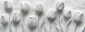 Geometric tulip silhouettes create structured design on white background Royalty Free Stock Photo