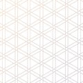 Geometric vector pattern, repeating linear hexagon and triangle. monochrome stylish. pattern is clean for fabric, wallpaper,