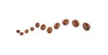 Geometric view of coffee beans