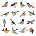 Geometrical birds. Abstract stylized shapes of freedom flying bird in various action poses recent vector illustrations