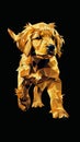 geometrical illustration of golden retriever cute pappy on black background