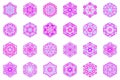 Geometrical isolated petal ornament hexagon shape set set