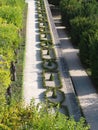 Geometrically planted box hedge WÃ¼rzburg Residence