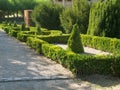 Geometrically planted box hedge in the courtyard garden of the WÃ¼rzburg Residence