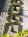 Geometrically planted box hedge in WÃ¼rzburg Residence