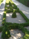 Geometrically planted box hedge in the courtyard garden of the WÃ¼rzburg Residence