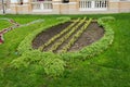 Geometrically planted flower bed with flowers in the form