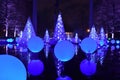 Geometrics Shapes - Garden Glow At The Missouri Botanical Garden