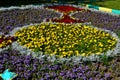 The geometry of the city flower beds