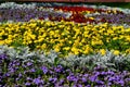 The geometry of the city flower beds