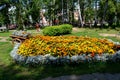 The geometry of the city flower beds