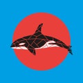 Geometry grampus whale illustration. Royalty Free Stock Photo