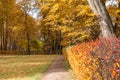 Geometry of space in autumn park, manor Ostafievo