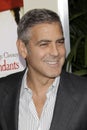 George Clooney Royalty Free Stock Photo