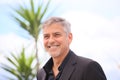 George Clooney Royalty Free Stock Photo