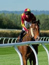 George Rooke, Flat Racing Jockey Royalty Free Stock Photo