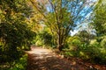 George Tindale Memorial Gardens in Australia