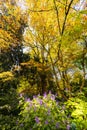 George Tindale Memorial Gardens in Australia