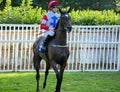 George Wood Horse racing jockey on Isolde Royalty Free Stock Photo