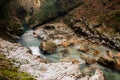 Georgous mountain river among the rocks and trees