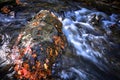 A stone in the river rapid in Limehouse Conservation Area