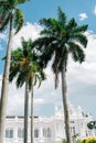 Georgetown Penang City Hall with palm tree in Penang, Malaysia Royalty Free Stock Photo