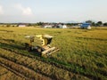 Rice harvester in paddy field.