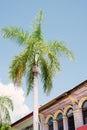 Georgetown traditional malaysian house and palm tree in Penang, Malaysia