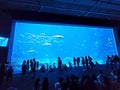 Georgia Aquarium in Atlanta