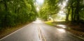 Georgia Farm Road Through Low Hanging Trees in the Rain