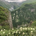 Georgia, mountains, Kazbek, beautiful summer landscape Royalty Free Stock Photo