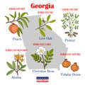 Georgia. Set of USA official state symbols Royalty Free Stock Photo