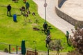 Georgia, Tbilisi - April 15, 2021: Gardeners plant seedlings in the city park