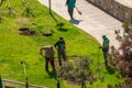 Georgia, Tbilisi - April 15, 2021: Gardeners plant seedlings in the city park