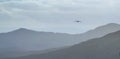 Georgia. Tbilisi . The flight of a lonely bird against the background of mountains