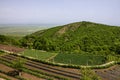 Georgia. Vineyard green hills landscape view, Alazani valley