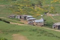 Georgia wooden houses, green fields and famous touristic Gomi mountain. Traditional Georgian Caucasus old cabins