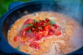 Georgian chakhokhbili with chicken in a cast-iron cauldron. Chopped tomatoes, red hot peppers, cilantro and spices were added to